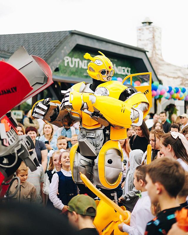 Bumblebee robots